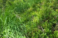 Rogaland - Sandnes - Melsheia - Rundtur Steinfjellet