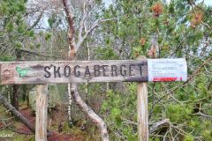 Rogaland - Sandnes - Melsheia - Tur til Skogaberget