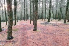 Rogaland - Sandnes - Melsheia - Tur til Skogaberget