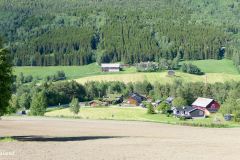 Innlandet - Sel