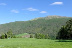 Innlandet - Sel