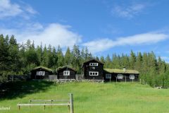 Innlandet - Sel