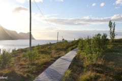 Troms og Finnmark - Senja - Husøy