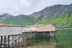 Troms og Finnmark - Senja - Gryllefjord