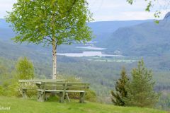 Buskerud - Sigdal - Eggedal - Hagan Kunstnerhjem Chr. Skredsvig