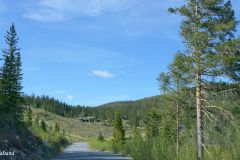 Buskerud - Sigdal - Over Norefjell
