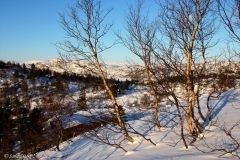 Agder - Sirdal - Donsen