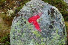Agder - Sirdal - Donsen