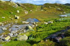 Agder - Sirdal - Donsen