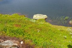 Agder - Sirdal - Donsen