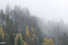 Agder - Sirdal - Fv42
