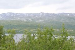 Innlandet - Skjåk - Breiddalsvatnet