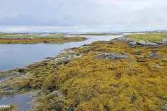 Møre og Romsdal - Smøla - Veiholmen