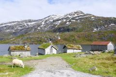 Vestland - Sogndal - Gaularfjellet - Nystølsvatnet