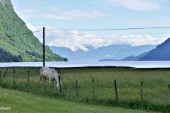 Vestland - Sogndal - Vetlefjorddalen