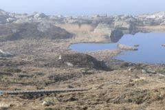 Rogaland - Sola - Vigdelneset
