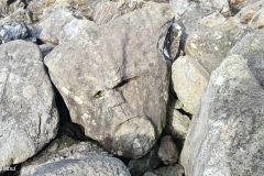 Rogaland - Sola - Vigdelneset - Steinansiktet