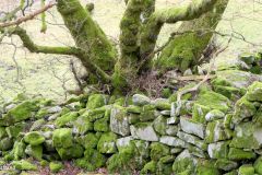 Rogaland - Sola - Indraberget - Trollskogen - Hafrsfjord - Jærkysten