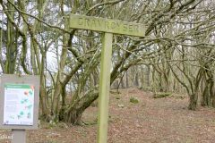 Rogaland - Sola - Indraberget - Trollskogen - Hafrsfjord - Jærkysten