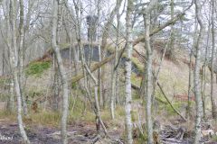 Rogaland - Sola - Ølbergskogen - Nordsiden av leiren - Bombevern