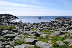 Rogaland - Sola - Vigdelneset - Jærkysten