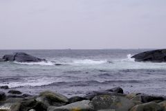 Rogaland - Sola - Vigdelneset - Buvika - Jærkysten