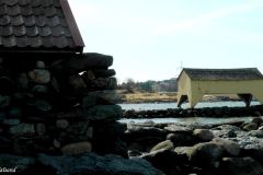 Rogaland - Sola - Grannes - Hafrsfjord - Jærkysten
