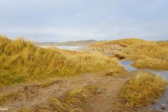 Rogaland - Sola - Hellestø - Jærkysten