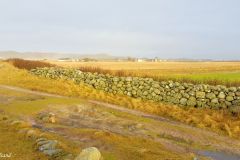 Rogaland - Sola - Hellestø - Jærkysten