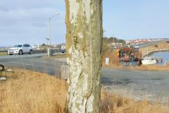 Rogaland - Sola - Jåsund - Erling Skjalgssons kvilestein