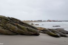 Rogaland - Sola - Ølberg - Jærkysten