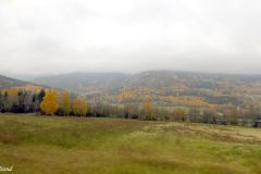 Innlandet - Sør-Fron