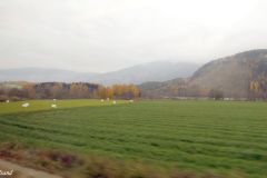 Innlandet - Sør-Fron