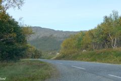 Finnmark - Sør-Varanger - Fv886 - Grense Jacobselv