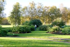 Finnmark - Sør-Varanger - Nibio Svanhovd - Botanisk hage