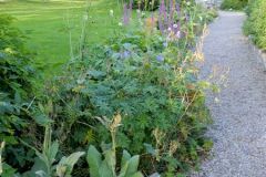 Finnmark - Sør-Varanger - Nibio Svanhovd - Botanisk hage