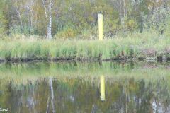 Finnmark - Sør-Varanger - Pasvikelva