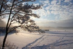 Rogaland - Stavanger - Mosvatnet