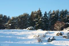 Rogaland - Stavanger - Ullandhaug