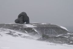Rogaland - Stavanger - Kvernevik Ring - Jærkysten