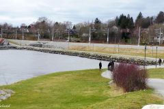 Rogaland - Stavanger - Gandsfjorden - Fra Mariero til Gauselstranda
