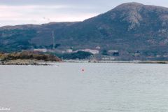 Rogaland - Stavanger - Gandsfjorden - Fra Mariero til Gauselstranda