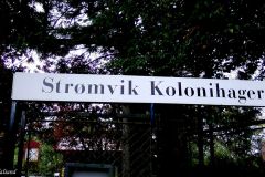Rogaland - Stavanger - Strømvik kolonihage