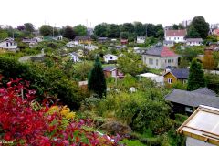 Rogaland - Stavanger - Eiganes kolonihage