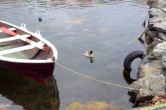 Rogaland - Stavanger - Engøyholmen