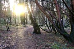 Rogaland - Stavanger - Hundvåg - Trollskogen