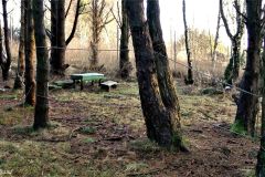 Rogaland - Stavanger - Hundvåg - Trollskogen