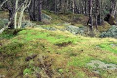 Rogaland - Stavanger - Hundvåg - Trollskogen