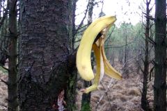Rogaland - Stavanger - Hundvåg - Trollskogen