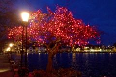 Rogaland - Stavanger - Byparken - Breiavatnet